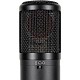Πυκνωτικό Μικρόφωνο SE Electronics SE2300 Black