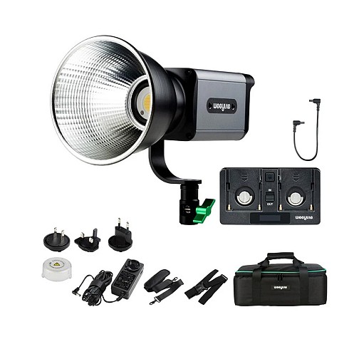Weeylite Ninja 200 with NP-F adapter