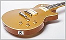 Ηλεκτρική κιθάρα Les Paul Standard Jack and Danny  RS-LSP GD