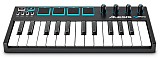 ALESIS V-Mini Midi Keyboard USB