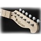 Ηλεκτρική κιθάρα Telecaster Jack and Danny RS-TC SB