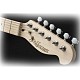 Ηλεκτρική κιθάρα Telecaster Jack and Danny RS-TC NL