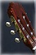 Alhambra LINEA Professional Handmade Classical Spanish Guitar 4/4
